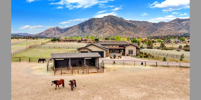 OFW American Ranch OFW American Ranch